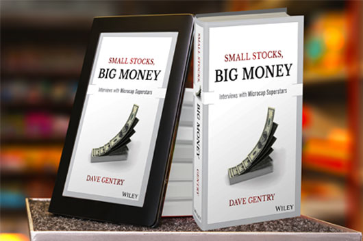 Small Stocks Big Money Book develop a solid investment strategy. 